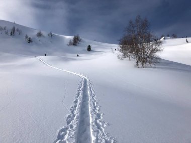 Dağlardaki kar tarlaları