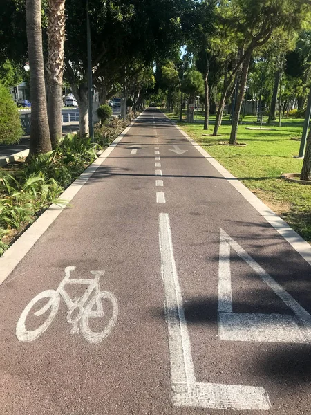 Empty reversible bike path for bicycles and segways. Palm trees grow along the edge of the path. Vertical shot.