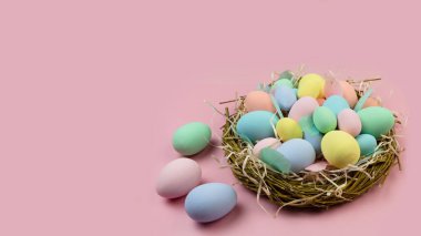 Çok renkli Paskalya yumurtaları ve pastel renkli tüyler pembe bir arka planda dalların arasında bulunur. Bayramlık Paskalya kartı.