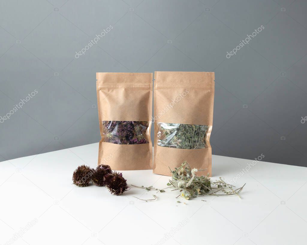 Brown kraft paper doypack bags with dried berries and medical herbs. Packaging for foods and goods template mock-up. Packs with windows for weight products. Trendy color