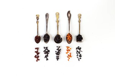 Bağışıklık güçlendirici konsepti. Bağışıklığı arttırmak için bitkisel takviyeler ve kurutulmuş böğürtlen. Elderberry, echinacea, uniper, sea buckthorn, Chinese Schisandra and barberry in spoons.