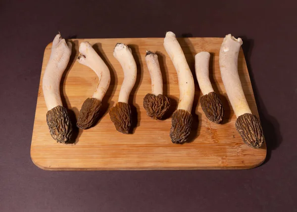 Spring wild morel mushrooms or Morchella conica. They are loaded with all kinds of vitamins and minerals, high in antioxidants, low in calories, and high in fiber and protein. — Stock Photo, Image