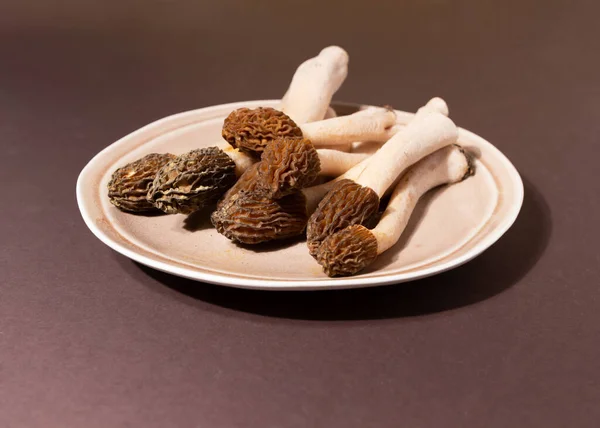 Spring wild morel mushrooms or Morchella conica. They are loaded with all kinds of vitamins and minerals, high in antioxidants, low in calories, and high in fiber and protein.