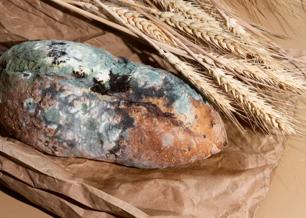 Green moldy bread on craft pack. Food waste and overconsumption concept. Minimalist style.