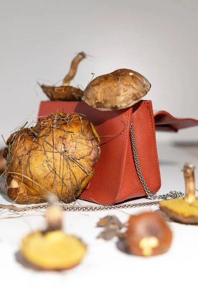 Mycelium leather bags are eco-friendly alternative to leather. Made from fungal spores and plant fibers. Innovative materials for mushroom textiles. Eco Biodegradable Vegan Leather