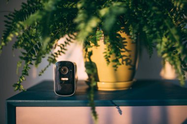Shallow focus image with surveillance camera near green flower indoors.	