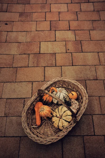 Decorative Autumn Pumpkins Basket — Photo