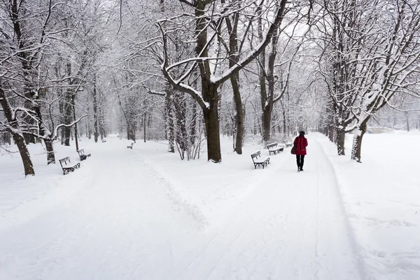 Mujer caminando en las nevadas a través de un parque — Foto de Stock