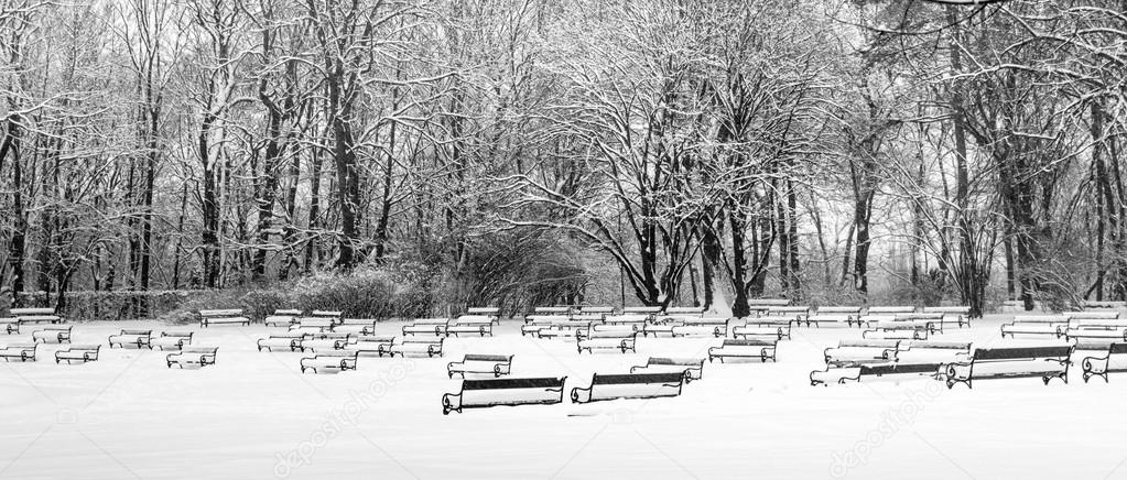 Park benches covered with snow