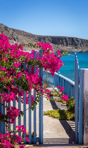 Puerta azul en flores púrpuras y el mar en el fondo Fotos de stock libres de derechos