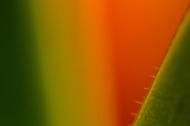 Renkli soyut arkaplan