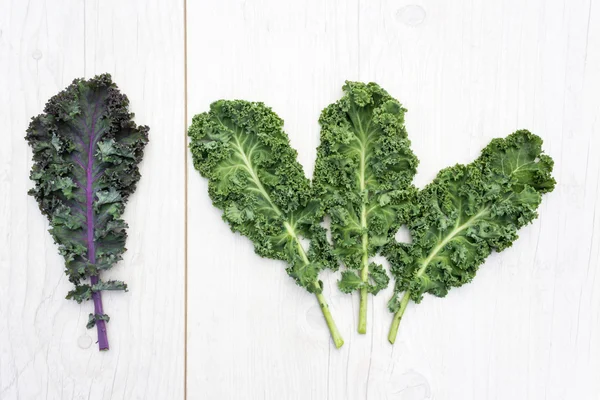 Group of green kale leaves and saparated one leaf of red kale Stock Picture