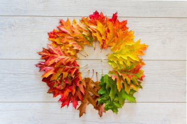 Daire şeklinde renkli sonbahar yaprakları