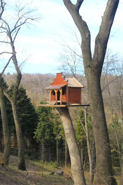 Дерев'яні годівниці для птахів на дереві — стокове фото