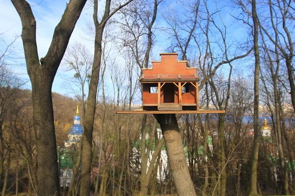 Дерев'яні годівниці для птахів на дереві — стокове фото