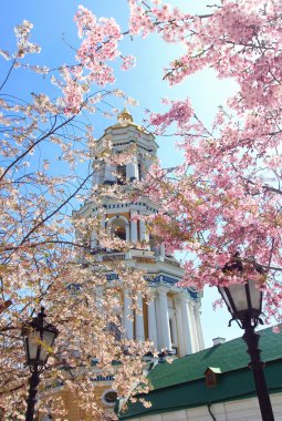 Kiev katedraller ilkbaharda çiçek açan sakura ile