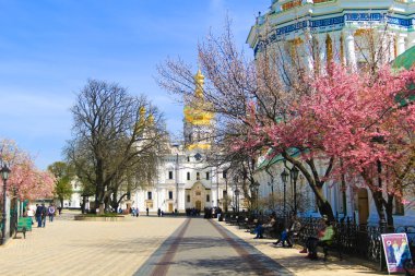 Kiev katedraller ilkbaharda çiçek açan sakura ile