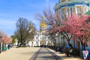Kiev cathedrals in spring with sakura blooming clipart