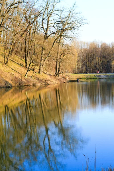 Printemps arbres nus reflétant dans le lac — Photo