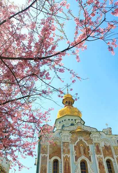 Kiev katedraller ilkbaharda çiçek açan sakura ile