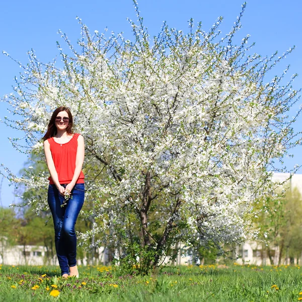 Young woman and blooming tree — Stock Photo, Image