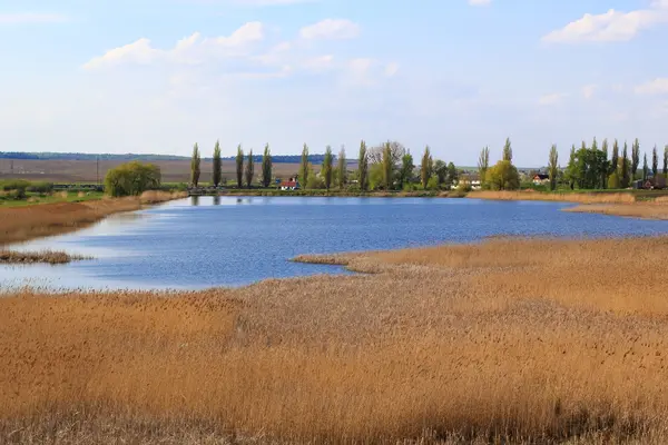 Lago — Fotografia de Stock