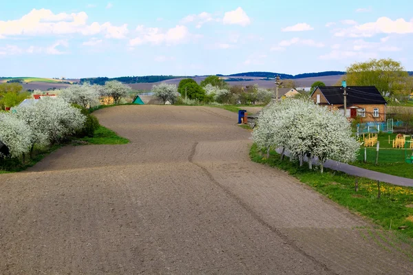 Spring countryside — Stock Photo, Image