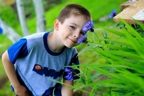 Pequeno menino cheirando milho flores — Fotografia de Stock