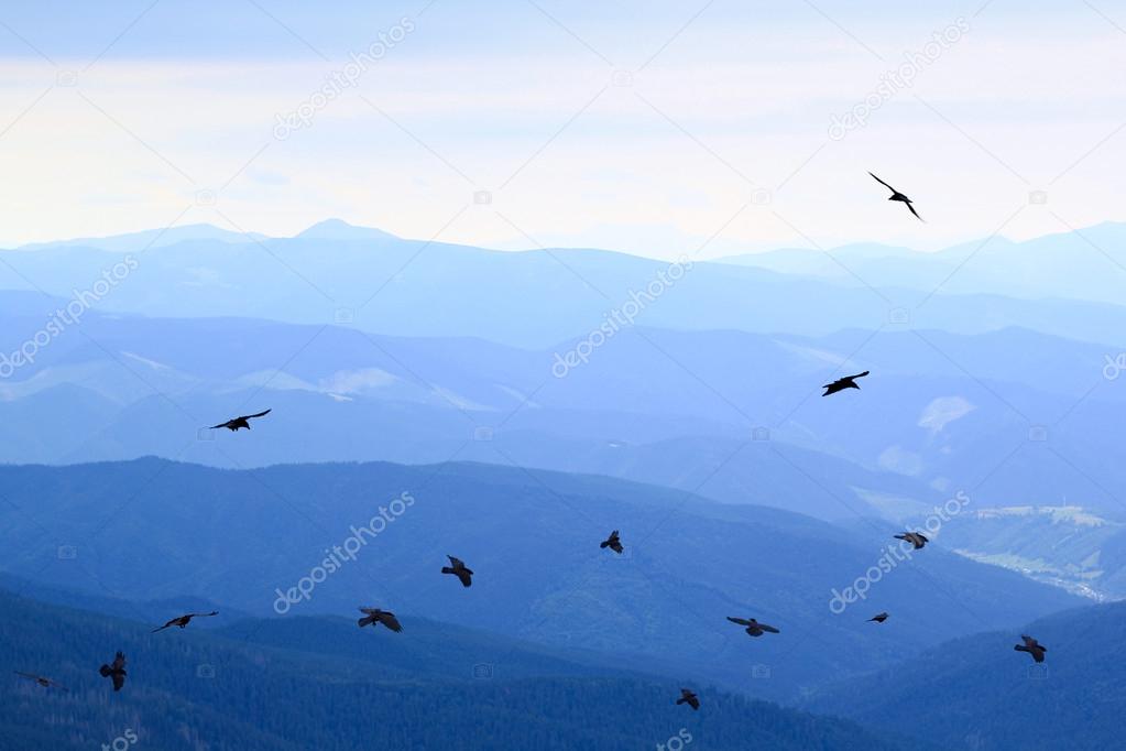 mountains and ravens