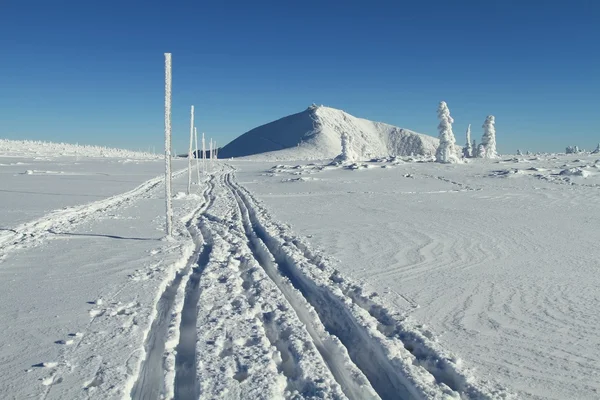 在 Krkonose 山的越野滑雪道 — 图库照片