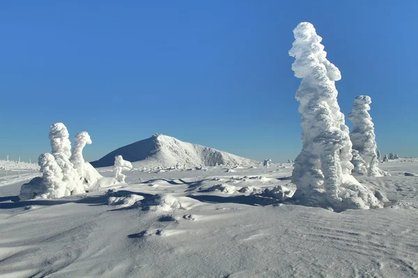 Krkonose montagne con Snezka — Foto Stock