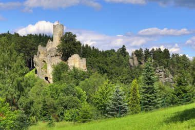 Çek Cumhuriyeti Frydstejn kalede