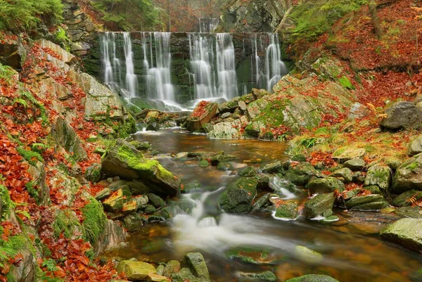 Cascade Automne Sur Ruisseau Montagne Janske Lazne République Tchèque — Photo