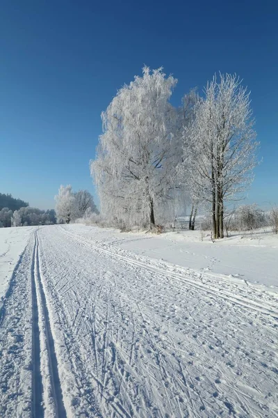 Winterzeit Auf Verschneiten Wiesen — Stockfoto