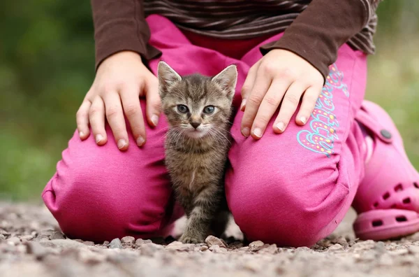 Kitty betwen legs — Stock Photo, Image