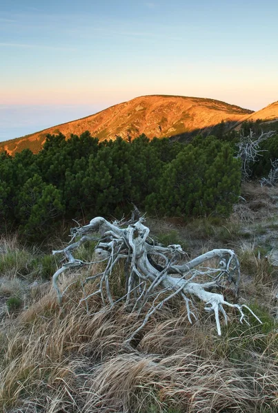 Deserto de montanha — Fotografia de Stock