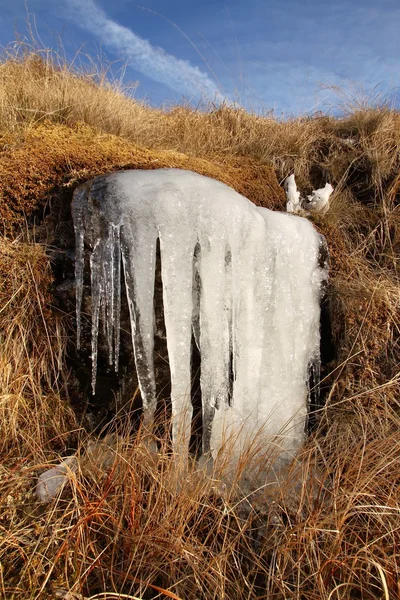 Buz Sarkıtı — Stok fotoğraf