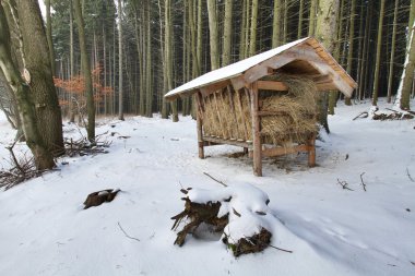 Samanlık hayvanlar için