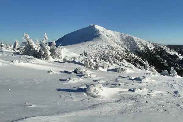 Pico Snezka en las montañas Krkonose —  Fotos de Stock