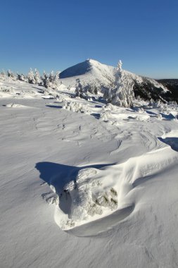 Winter landscape with Snezka mountain clipart