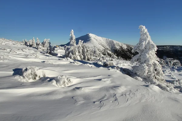 Hermoso invierno — Foto de Stock