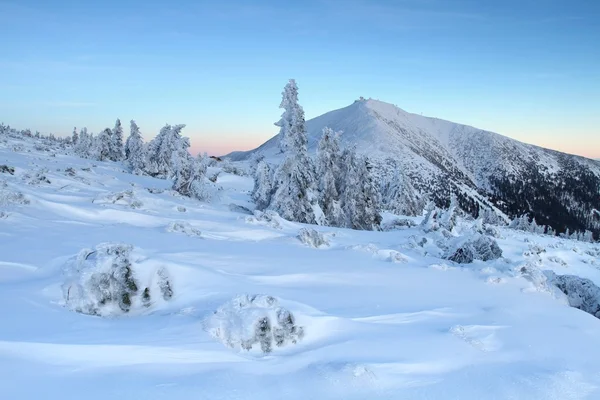 Hiver fin d'après-midi — Photo