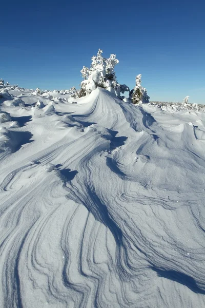 Winderige dag — Stockfoto