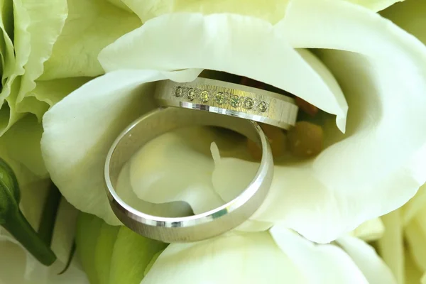 Svatební prsteny na růžích — Stock fotografie