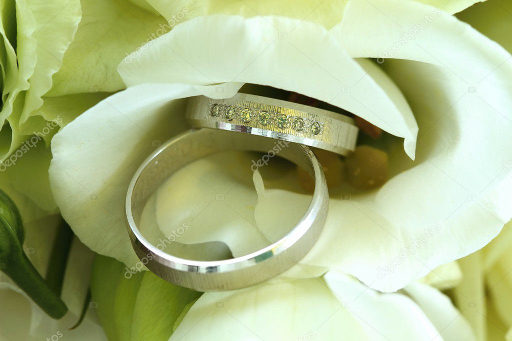 Wedding rings on rose