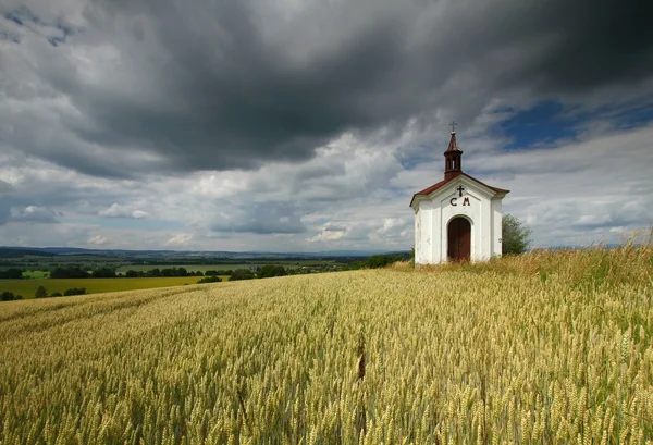 Trigo y capilla — Foto de Stock