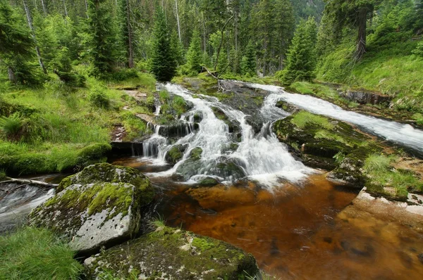 在 Krkonose 山北河 — 图库照片