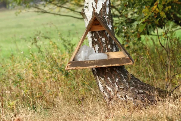 Bacche di biancospino in autunno — Foto Stock