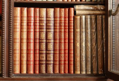 Tarihi Kütüphane kitapları ile