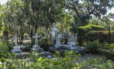 Savannah, Georgia, ABD - 25 Mayıs 2025: Heykelli Tarihi Bonaventure Mezarlığı, İspanyol Yosunu ve Canlı Meşe Ağaçları